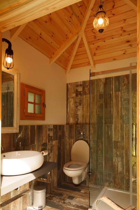 Lodge - La Manouche image 4