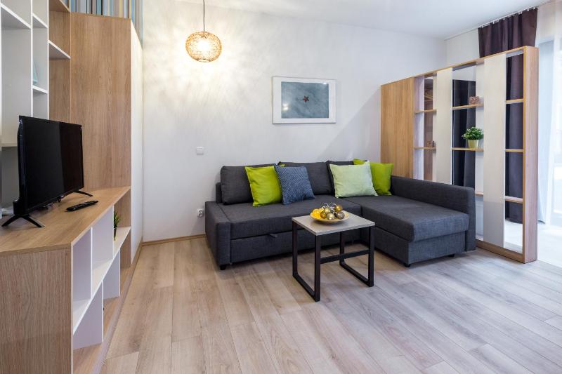 Standard Apartment image 4