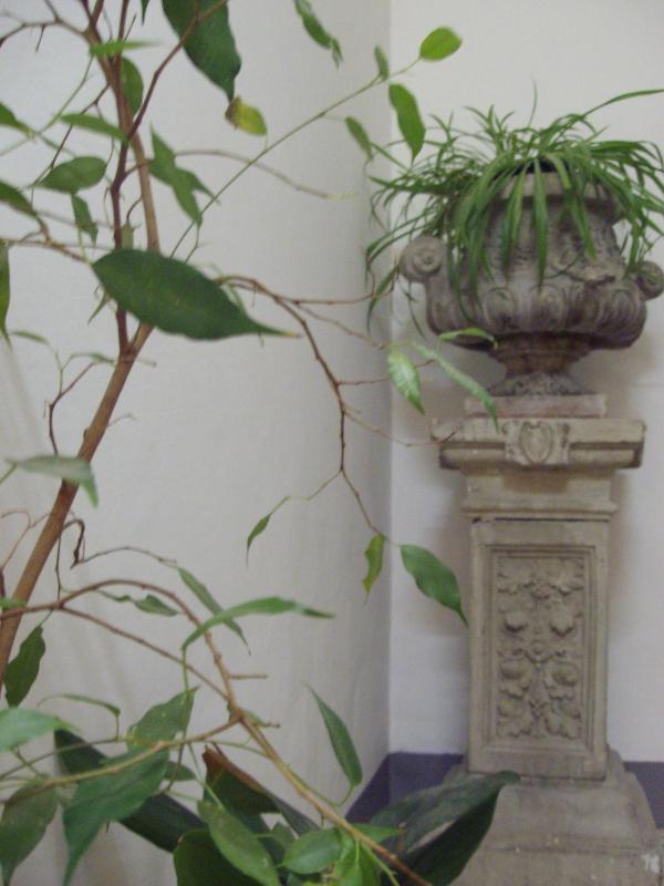 Albergo Anna - image 46