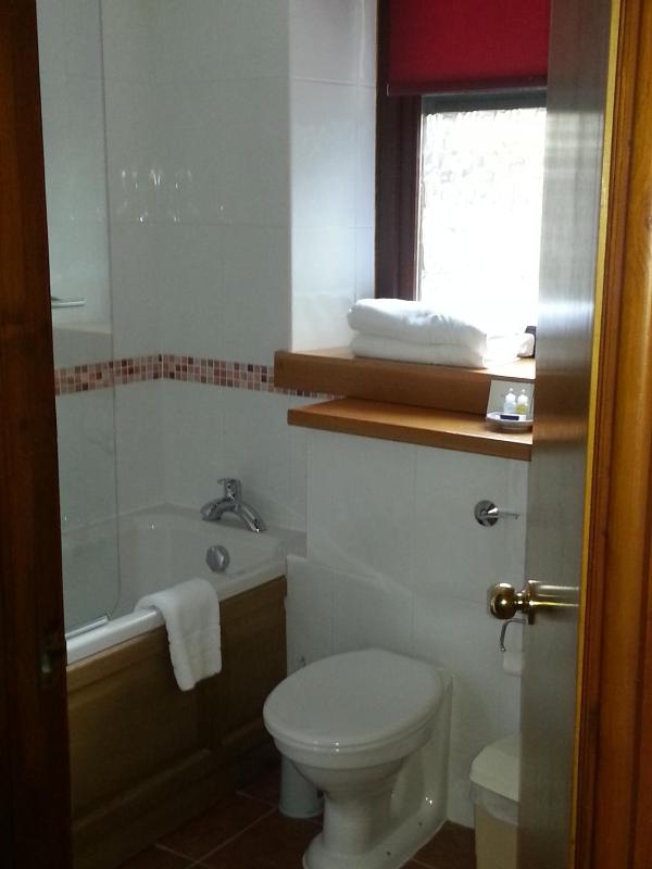 Standard Single Room image 3