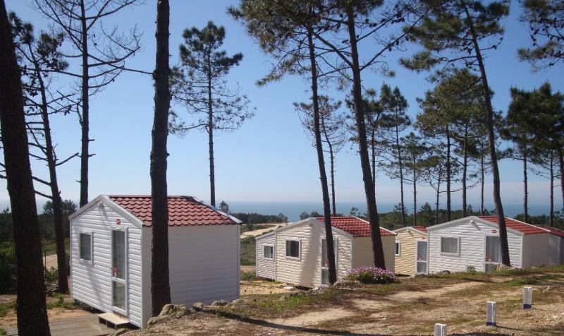 Caravan with Shared Bathroom image 1