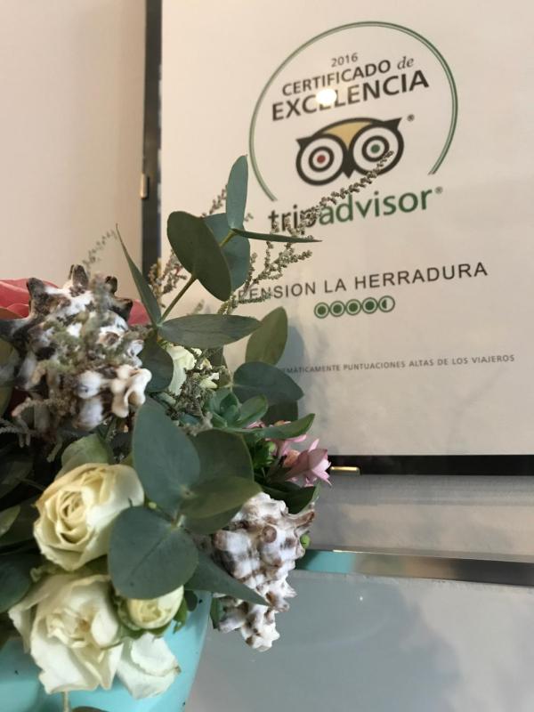 Pensión La Herradura - image 39