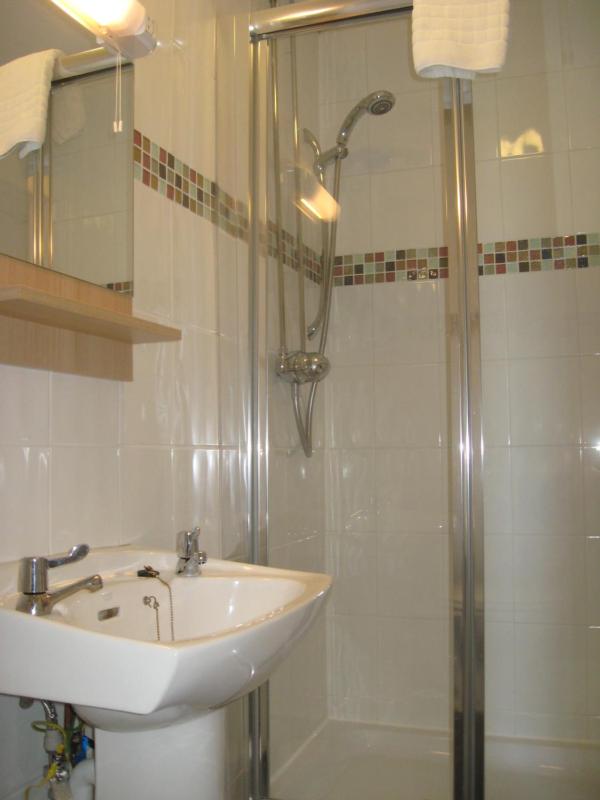 Single Room image 2