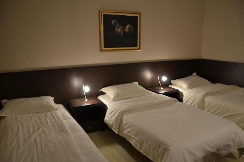 Triple Room with Balcony image 1