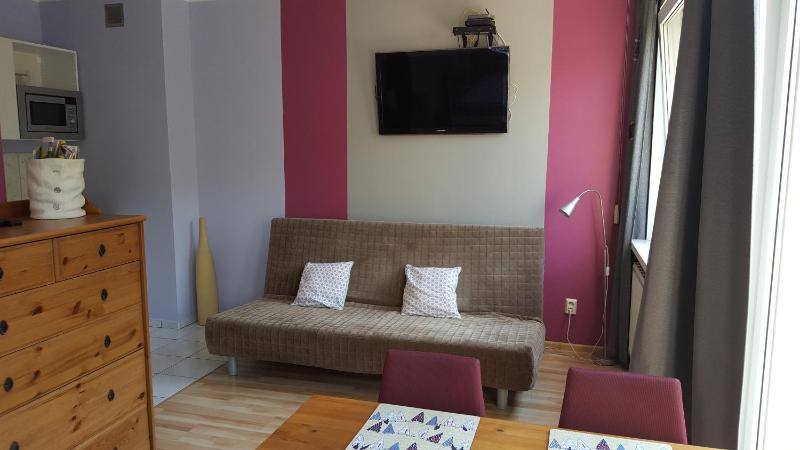 StudioSpanie Apartament Mango - image 21