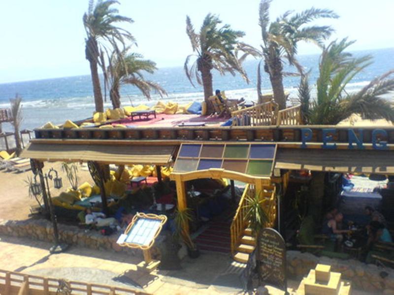Penguin Village Dahab - image 7