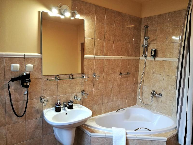 Deluxe Double Room image 3