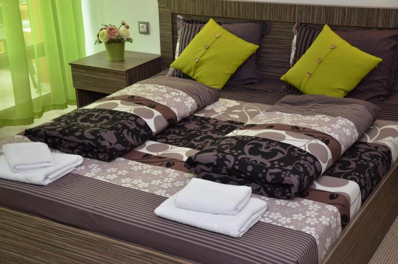 Double or Twin Room image 3