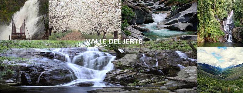 One-Bedroom Apartment image 3