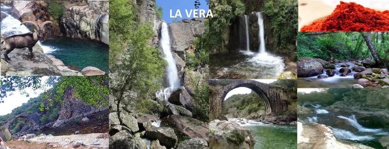 One-Bedroom Apartment image 4