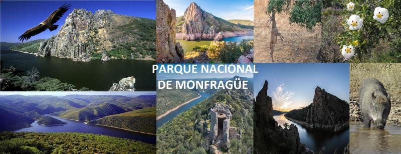 One-Bedroom Apartment image 3