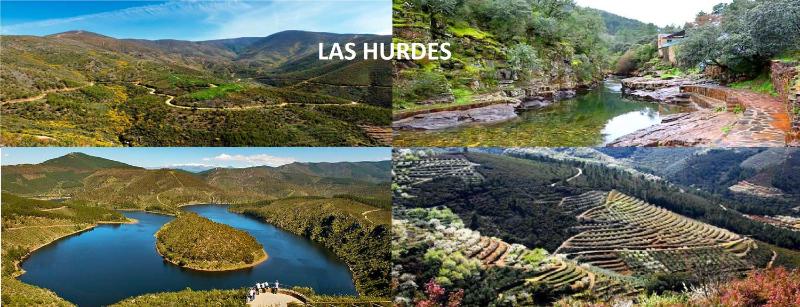 One-Bedroom Apartment image 2