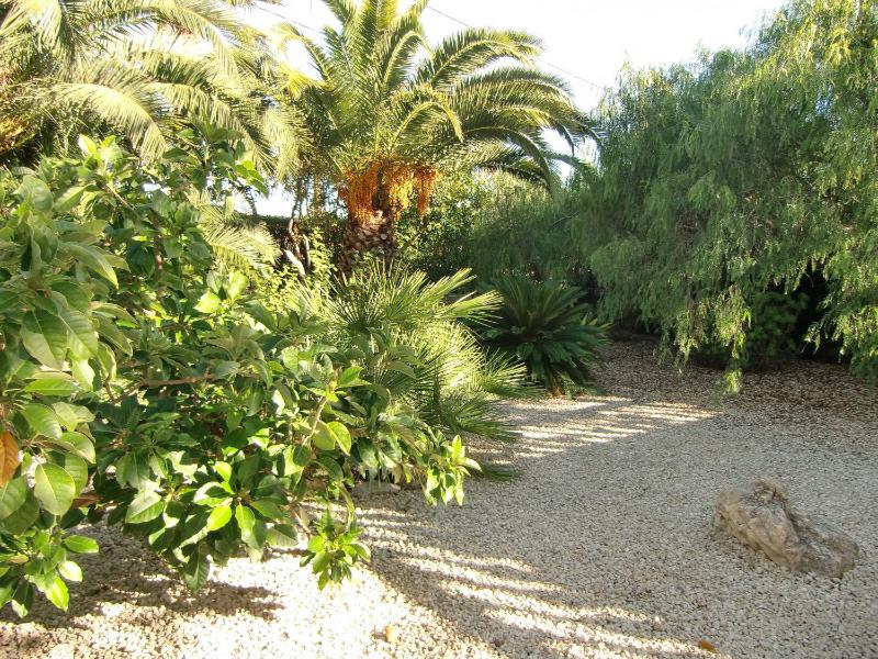 Villa Leones - privacy - by Holiday Rentals Villamar - image 11
