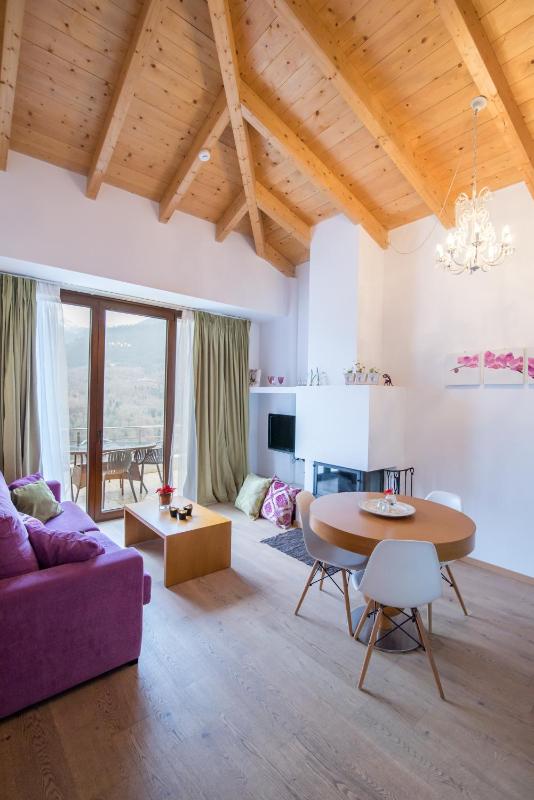 Deluxe Suite with Fireplace and Forest View image 1