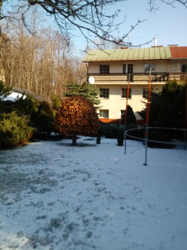 ApartamentVanessa - image 20