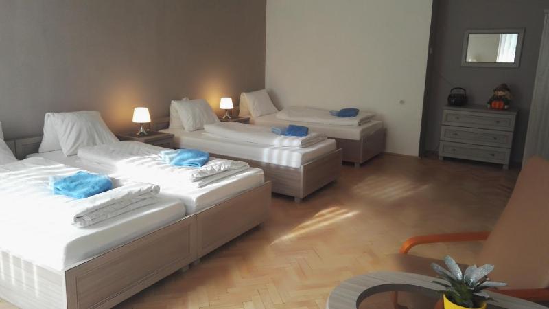 Apartmán Kaiser - image 8