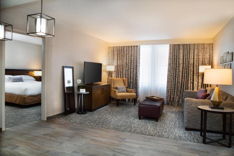 Deluxe King Suite image 4