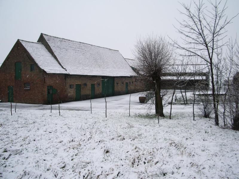 Holiday Home Koolhof - image 11