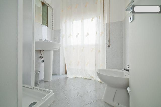 Large Double or Twin Room image 2