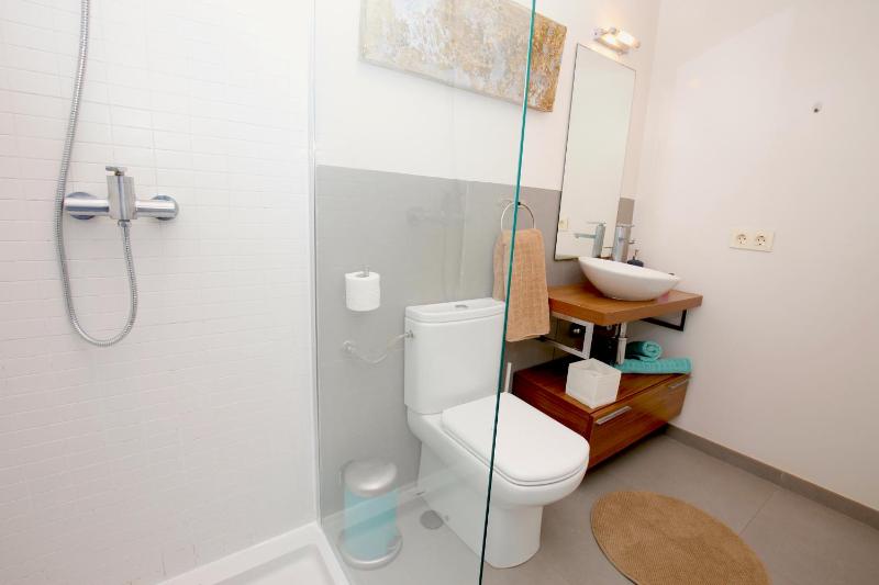 Penthouse Apartment image 4