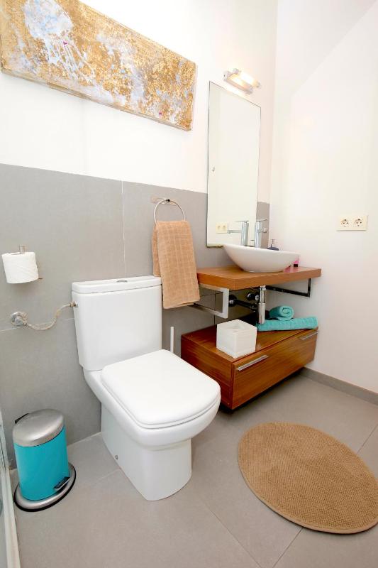 Penthouse Apartment image 3