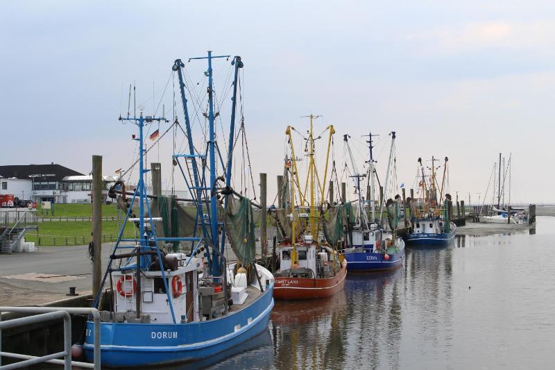Ferienhaus Vogel - Dorum Neufeld - Nordsee - image 14