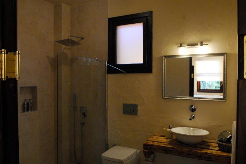 Superior Deluxe Twin Room with Jacuzzi image 3