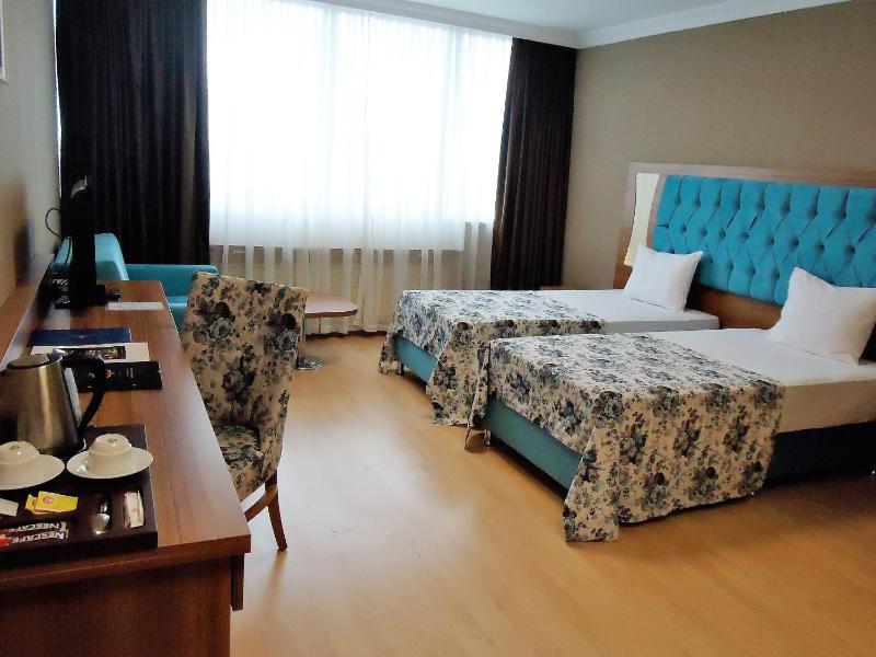 Standard Twin Room image 3