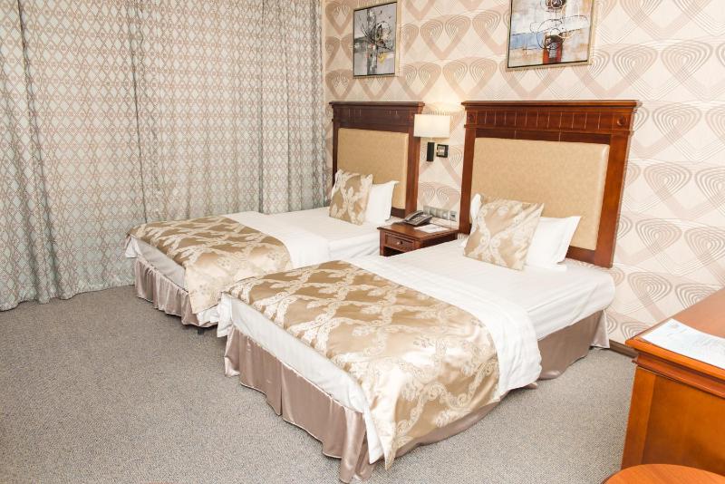 Standard Twin Room image 2