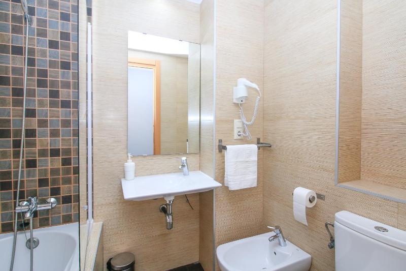One Bedroom Apartment with Balcony image 4