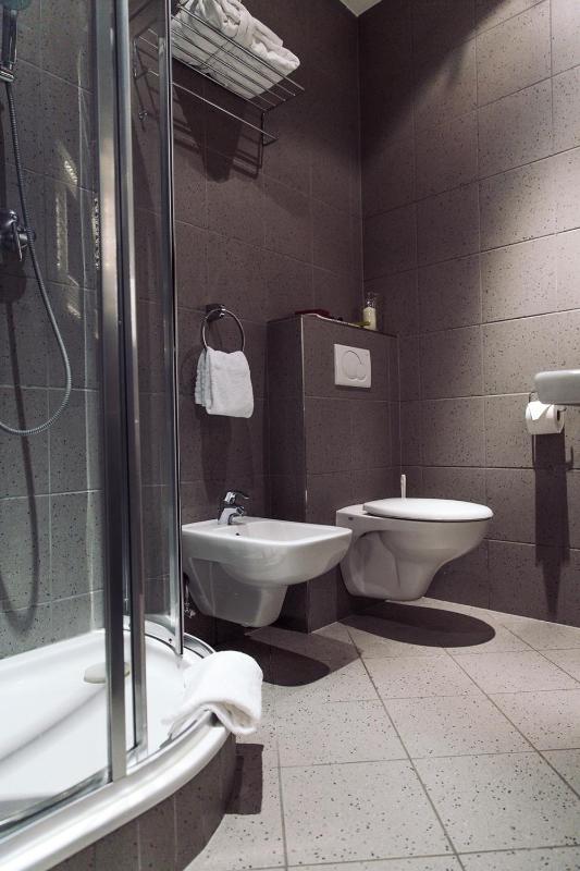 One-Bedroom Apartment image 3