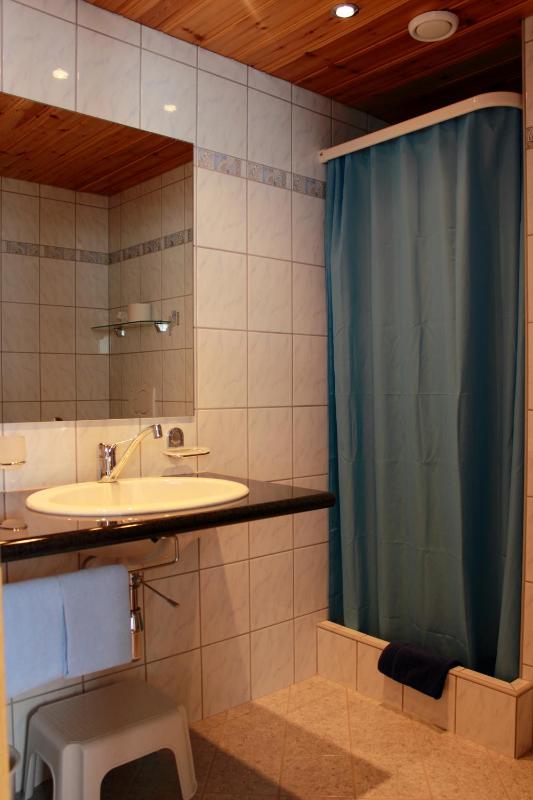 Single Room image 1