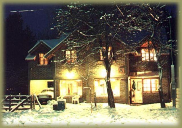 Puma Hostel - image 2