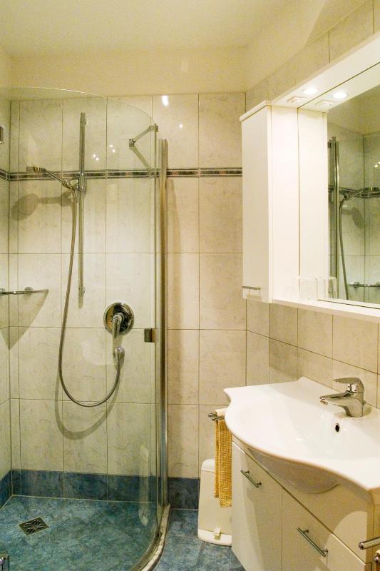 Single Room image 3