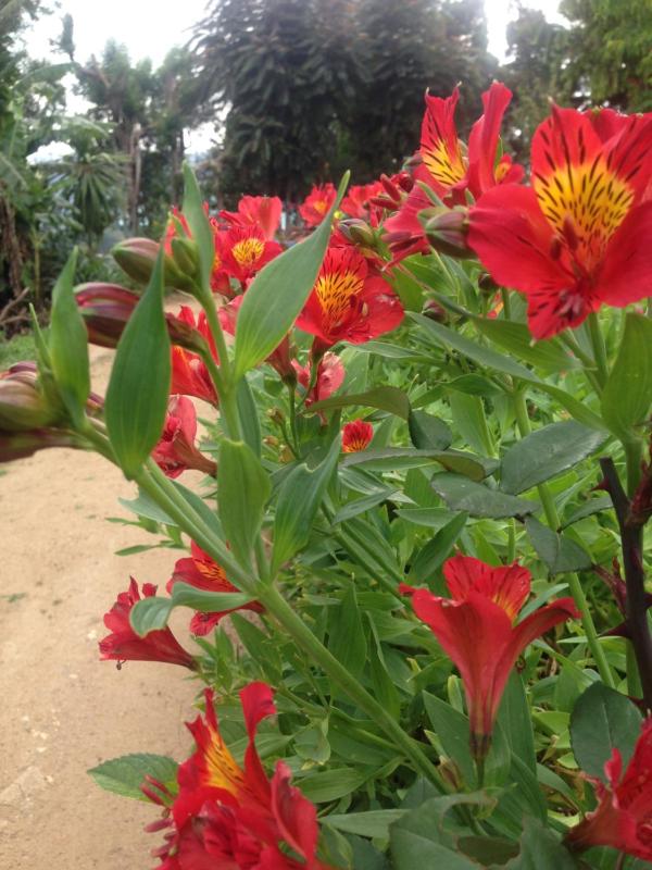 The Galways Edge Homestay - image 16