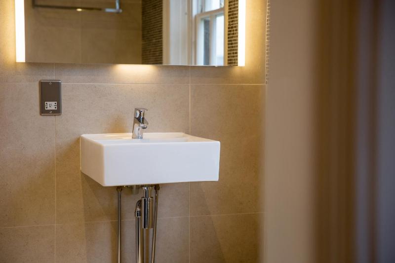 Deluxe Double - Elizabeth Gray image 4