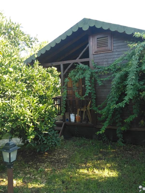 Bungalow image 1