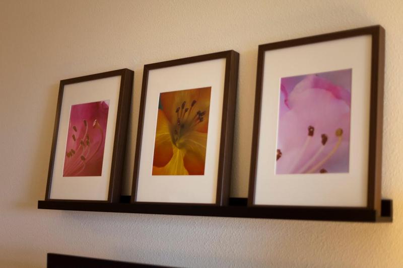 Family Suite image 2