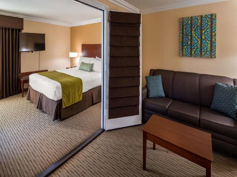 One-Bedroom King Suite image 3