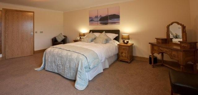 King Room - Disability Access image 1