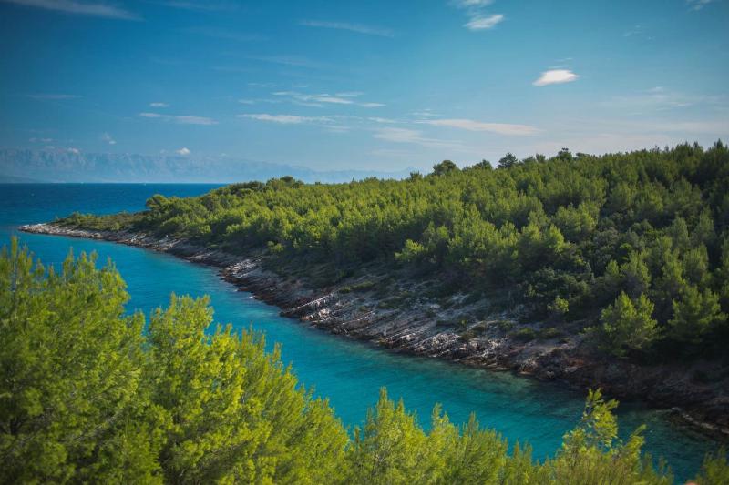 Deluxe Apartment image 3