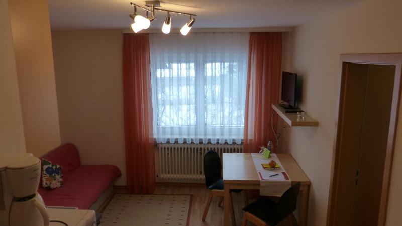 Standard Apartment image 4
