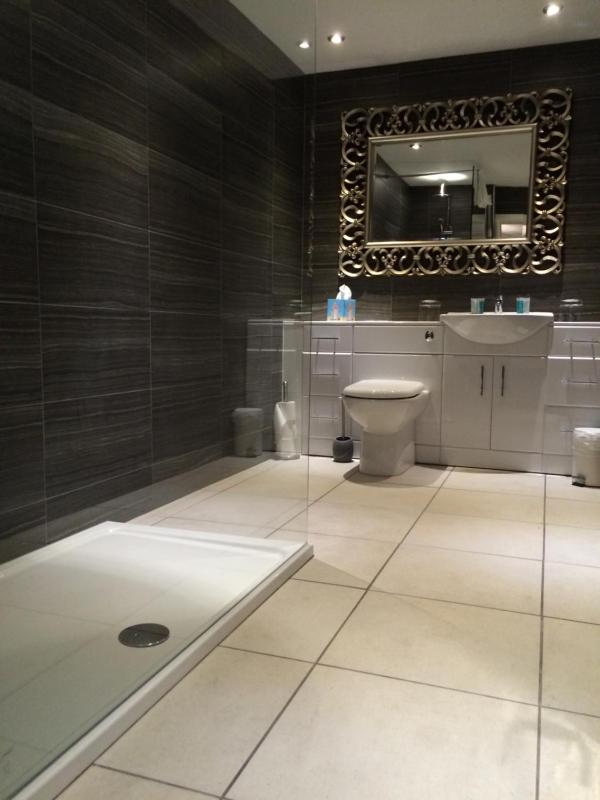 Superior Suite image 4