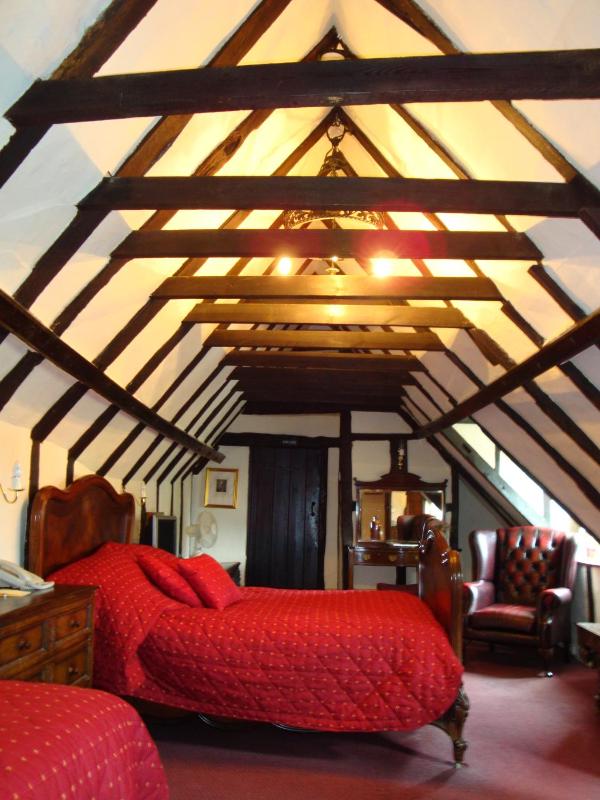 Superior Twin Room image 2