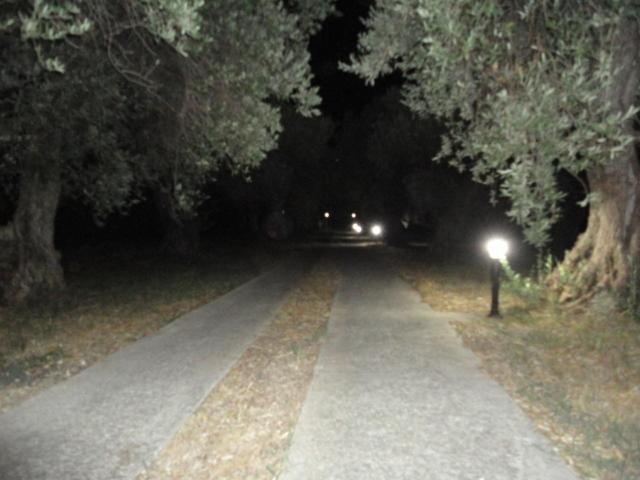 Liossis Rooms & Apartments - image 6