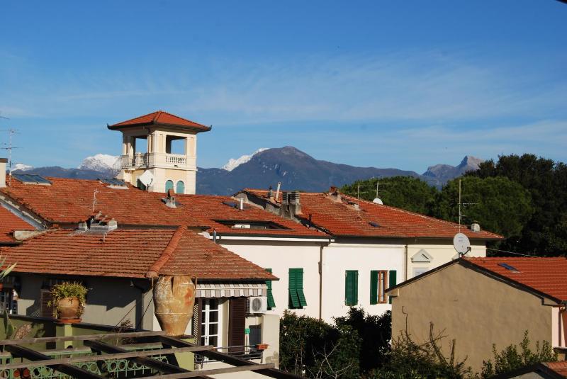 Burlamacco Gold - image 31