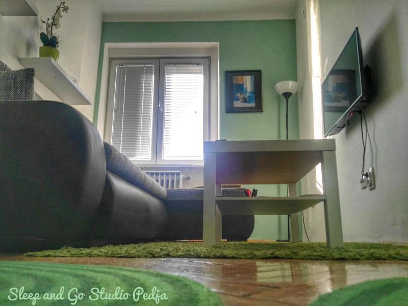 Studio Apartment image 3