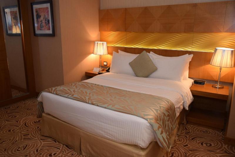 Coral Baghdad Hotel - image 14