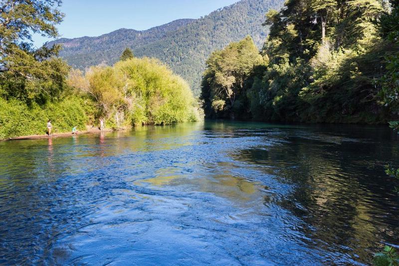 Cabañas Los Canelos Pucon Hermosa Granja de 20 hectaréas a orillas del Río Liucura - image 13