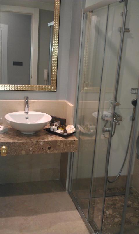 Single Room image 3